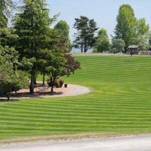 Interesting Facts Tacoma