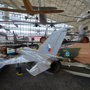 Top Fun Experiences for Kids In Seattle