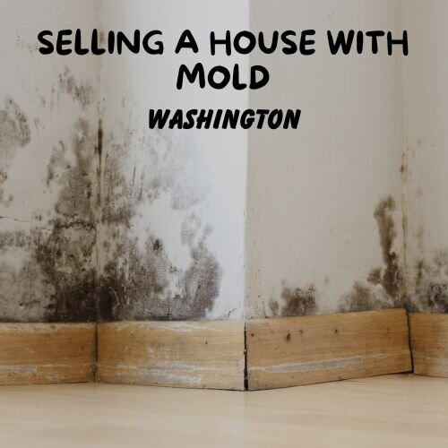 Selling a house with mold in washington