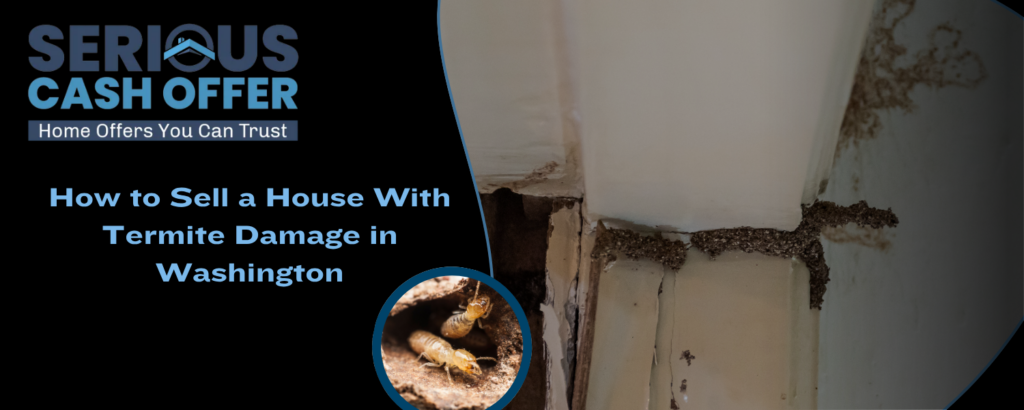 how to sell a house with termite damage
