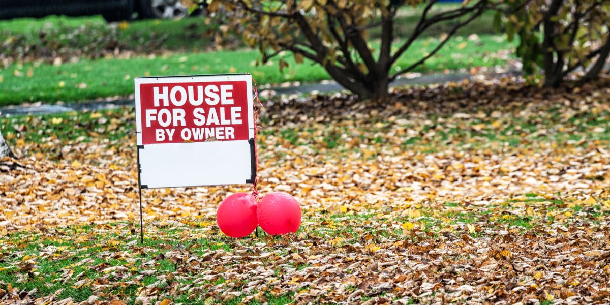 for sale by owner looking sad in yard