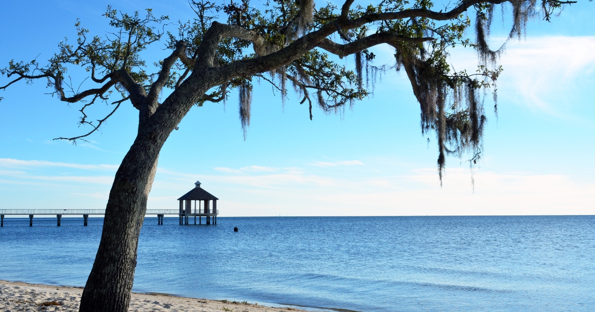 A serene view of Lake Pontchartrain in Lakeview, New Orleans, featuring a picturesque pier and a tree draped with Spanish moss, under a bright blue sky.
A serene view of Lake Pontchartrain in Lakeview, New Orleans, featuring a picturesque pier and a tree draped with Spanish moss, under a bright blue sky.