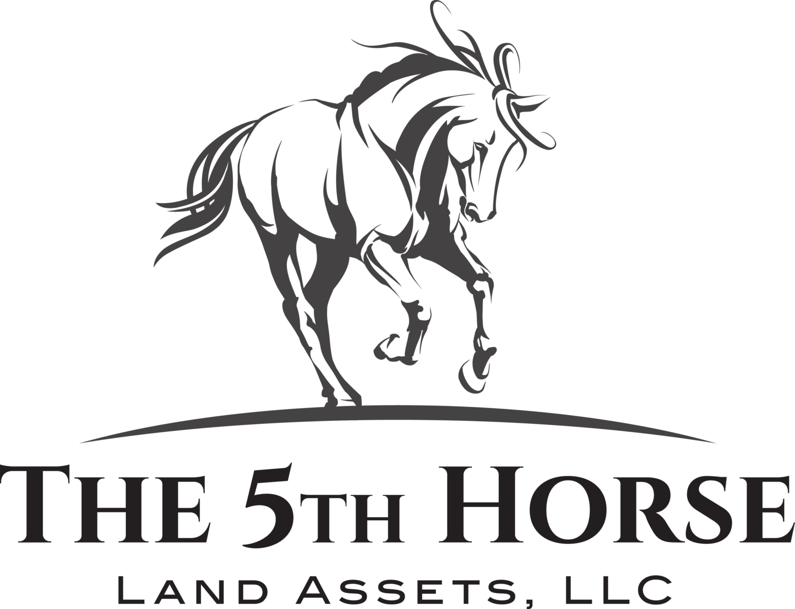 The 5th Horse Land Assets logo