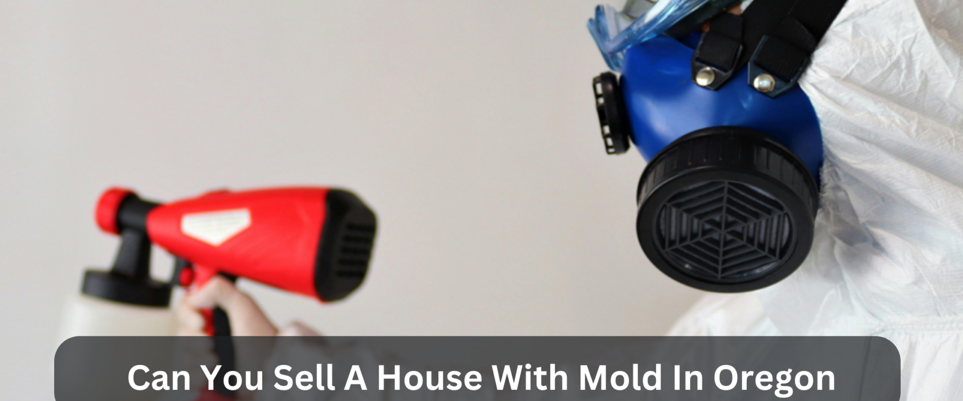 Can You Sell A House With Mold In Oregon