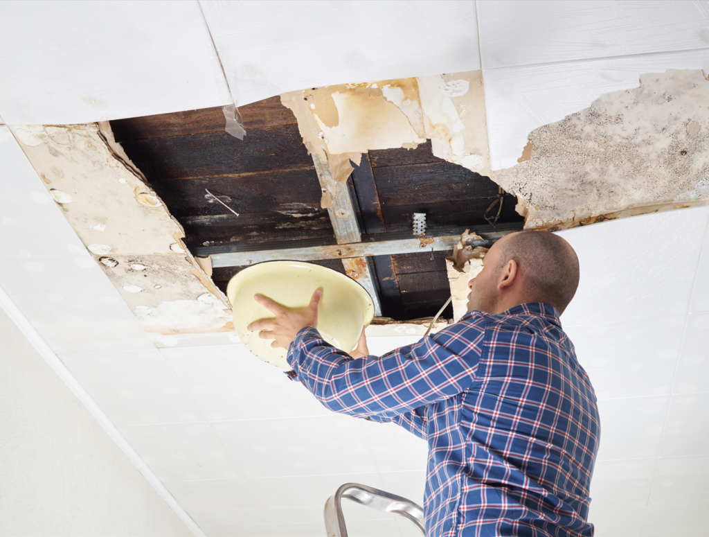 can you sell a house with mold in Oregon