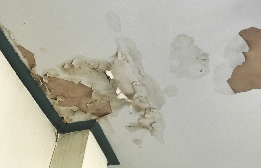 selling a house with mold in Oregon