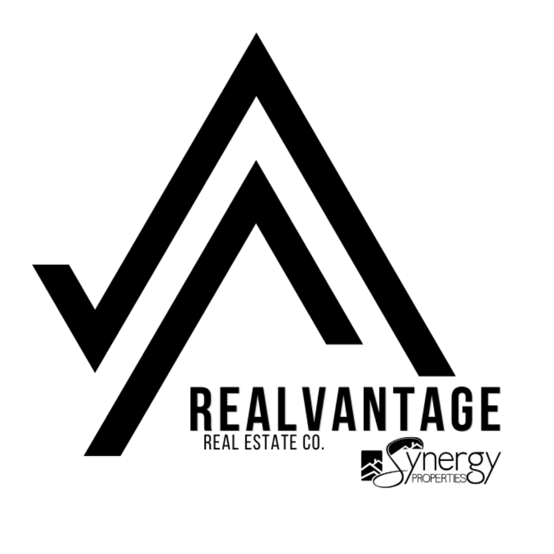 RealVantage  logo