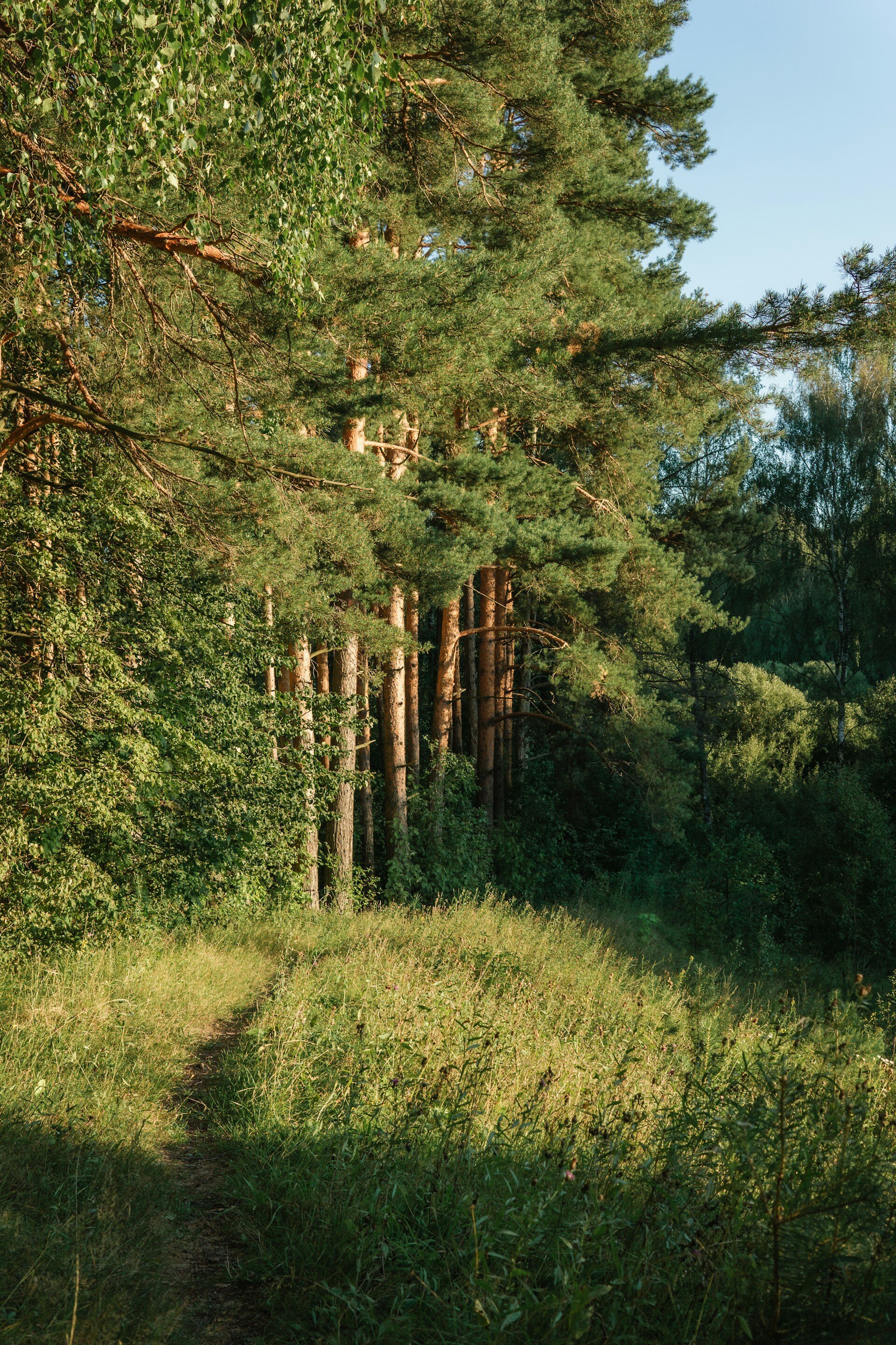 how to sell vacant land