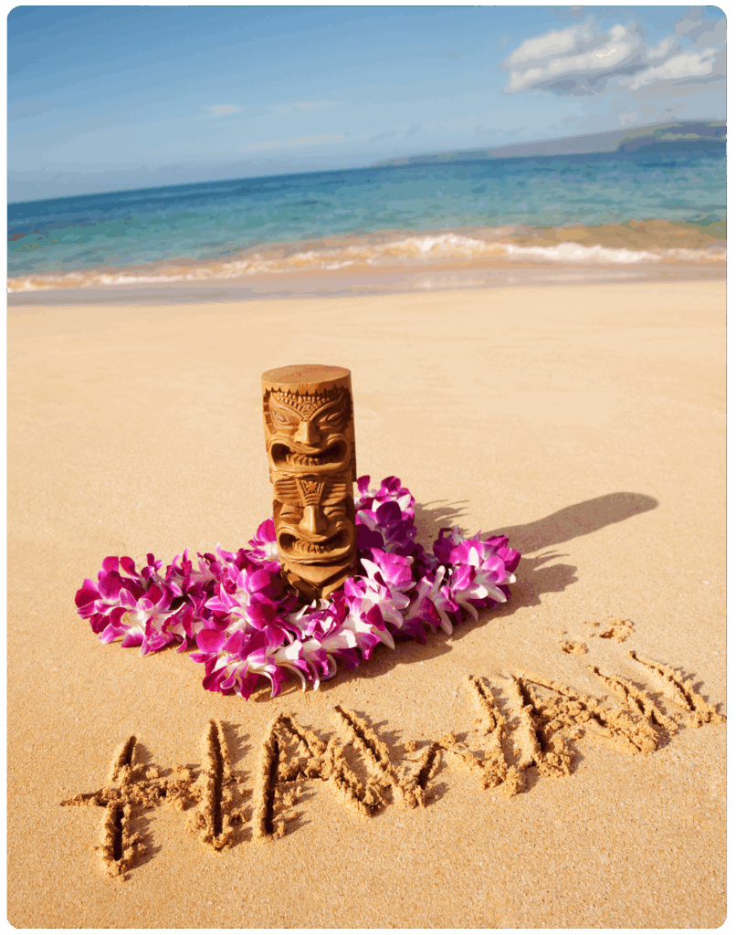 Sell Your House Free Consultation Hawaii