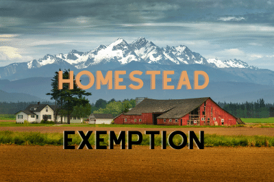 What is the homestead exemption?