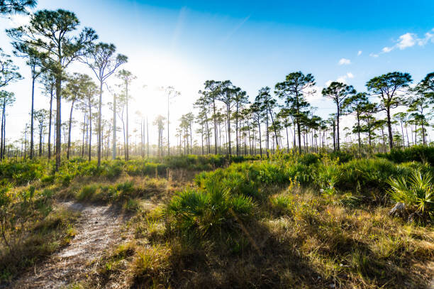 Selling Your Florida Land