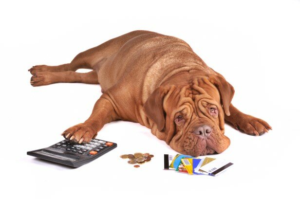 What To Do If You're Getting Behind On Your Mortgage Payment