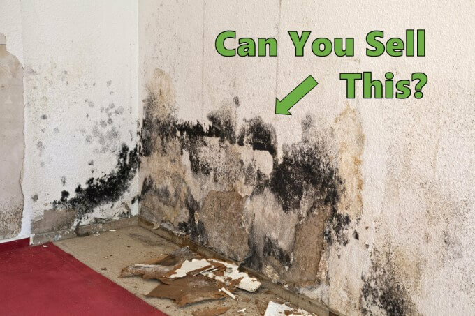Selling House With Water Damage