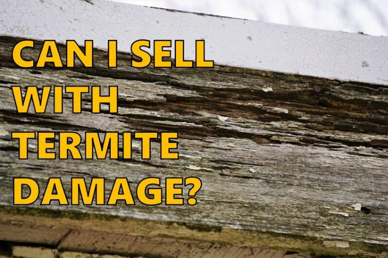 Selling A House With Termite Damage