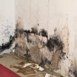 Sell Your Home With Water Damage