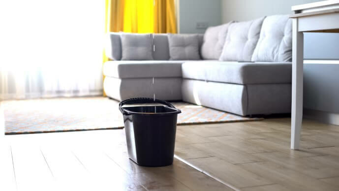 Disclosing Home Issues