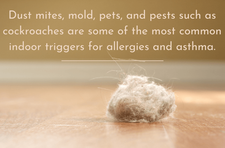 Indoor Allergens