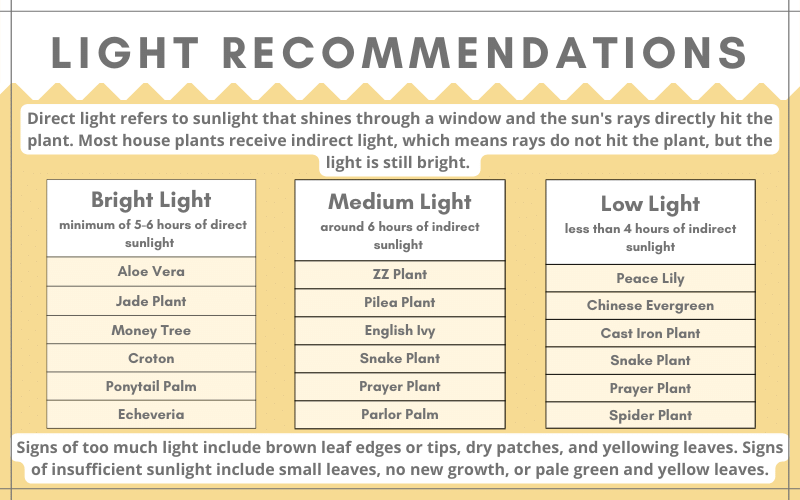 indoor plant light recommendations