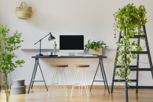 office plants