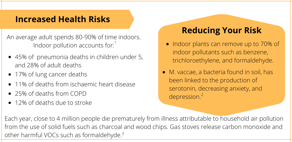 Health Statistics Increased Health Risks and Reducing Risk