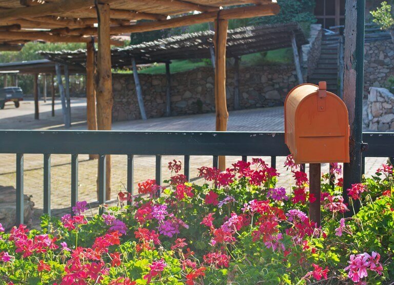Picture of mailbox surrounded by pink flowers