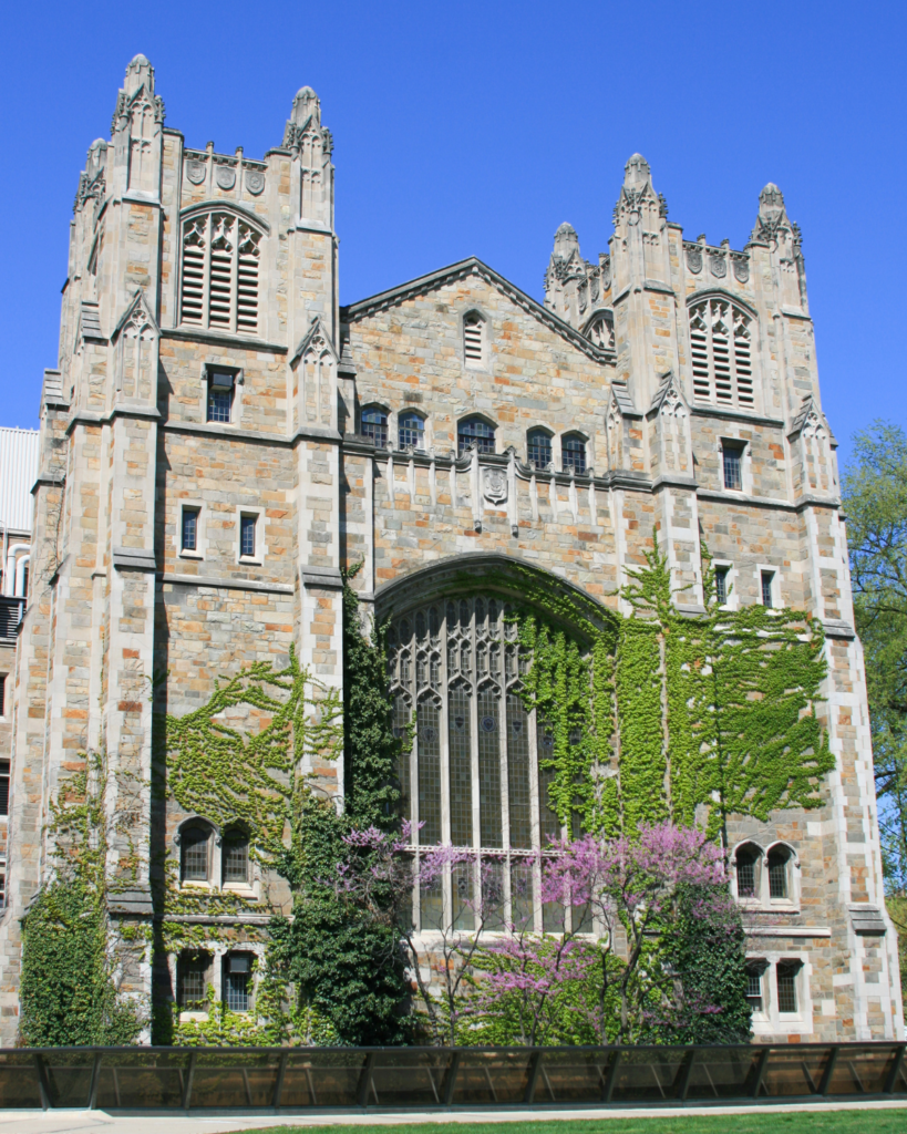 Top Real Estate Agents Ann Arbor MI NestEgg Properties