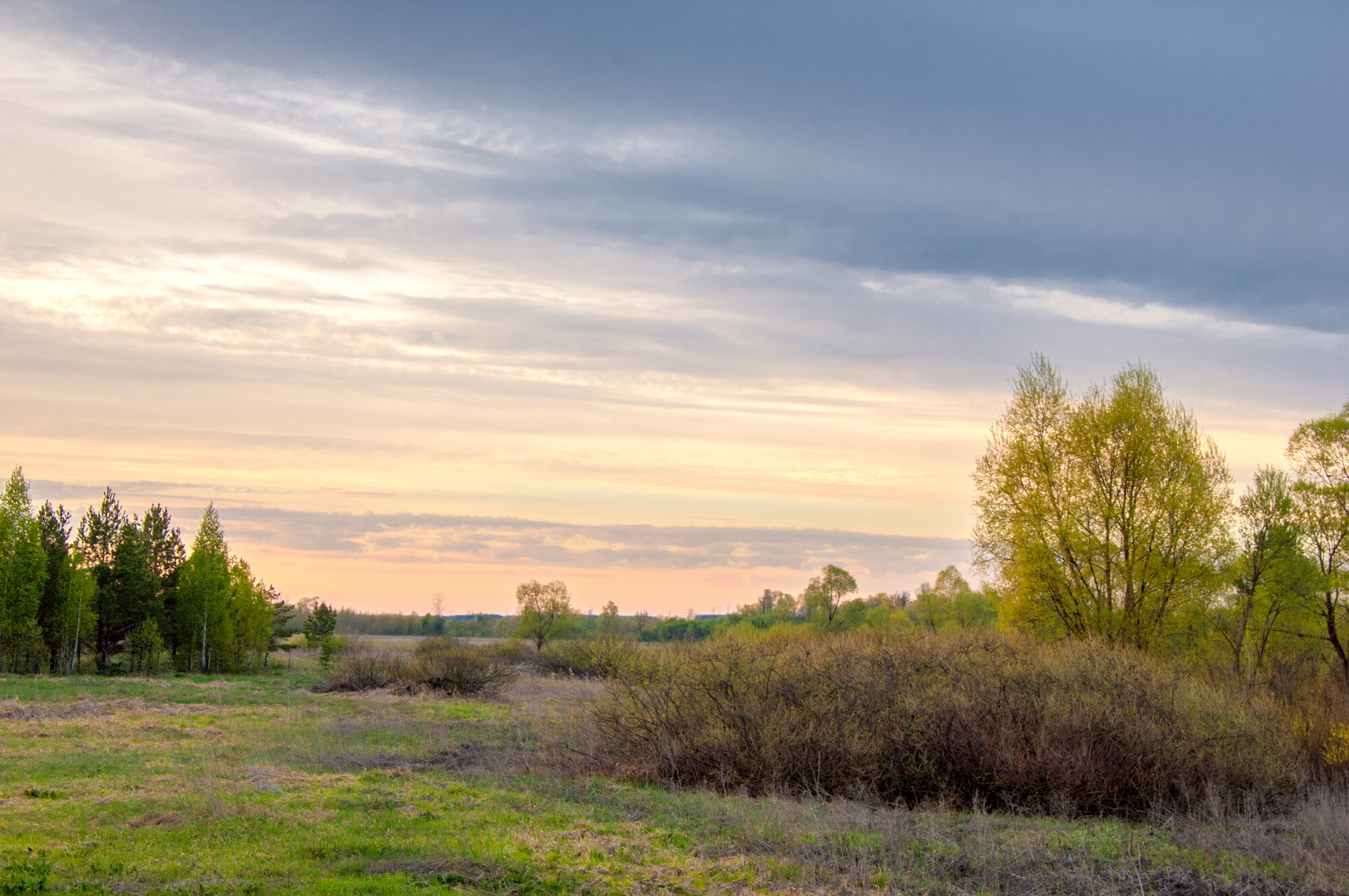 Sell Your Land in Kalamazoo, MI