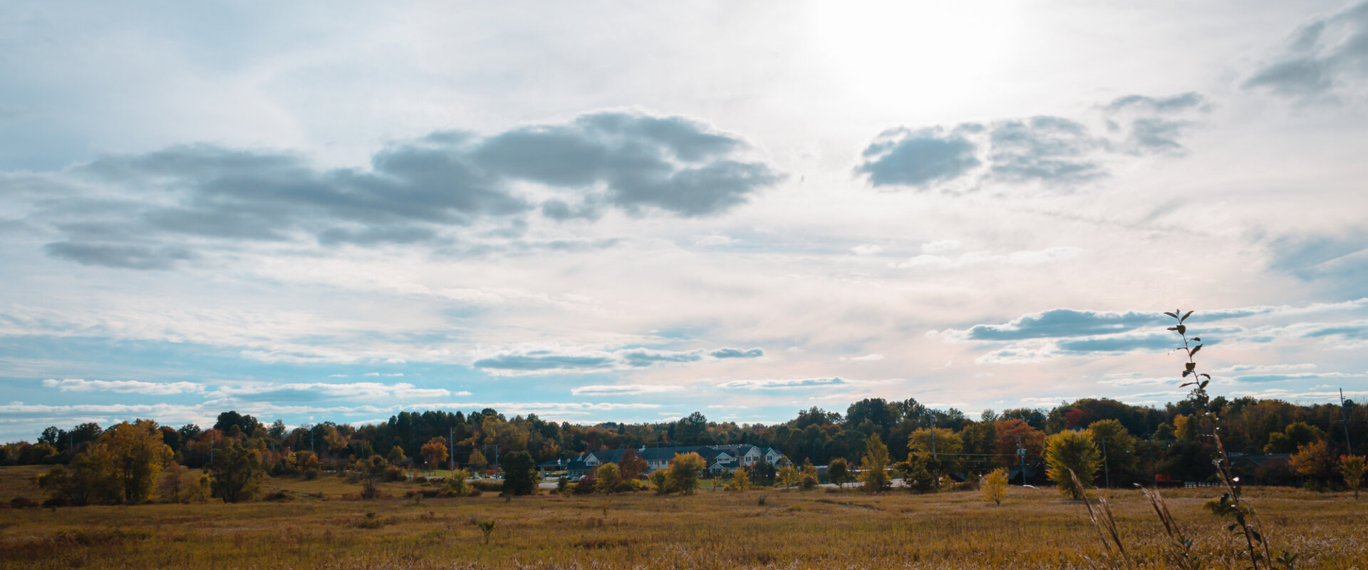 Sell Your Land in Manistee, MI