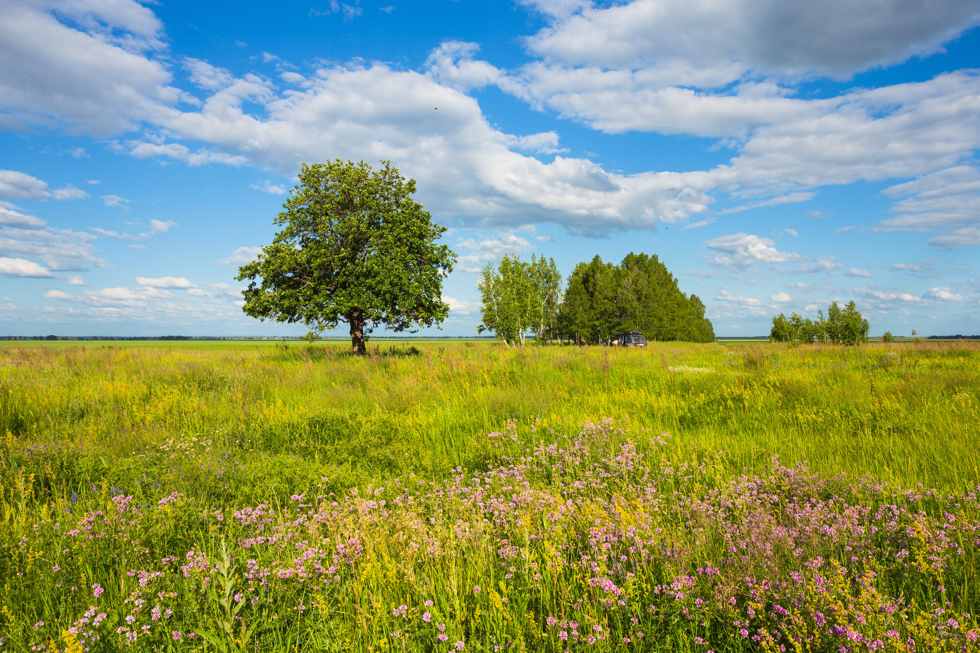 Sell Your Land in Muskegon, MI