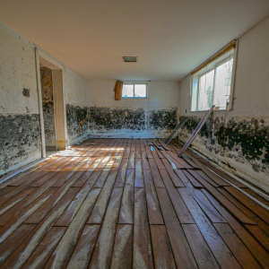 Sell My House With Mold in Tennessee 