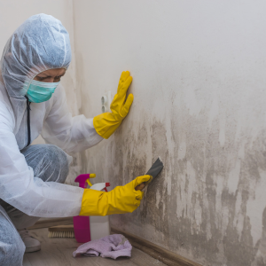 Selling a House With Mold in Tennessee 