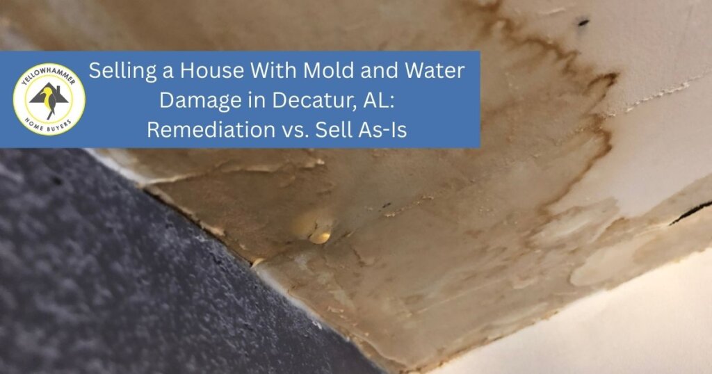 Mold and water damage in Decatur Alabama house requiring remediation