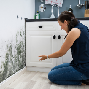 Sell My Water Damaged House In Massachusetts