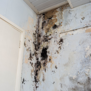 Selling a Water Damaged House Fast In Massachusetts