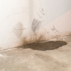 Selling a Water Damaged House In Massachusetts