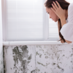 House Sale with Mold Issues in Massachusetts