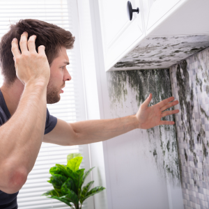 House with Mold for Sale in Massachusetts