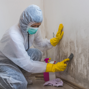 Selling Property with Mold in Massachusetts