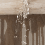 Guide to Selling a Home With Water Damage In Edmonton