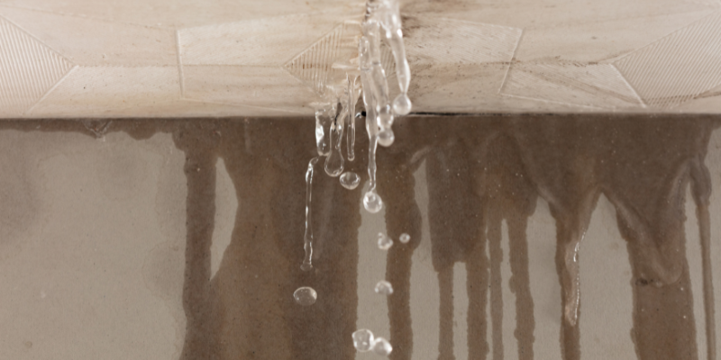 Guide to Selling a Home With Water Damage In Edmonton