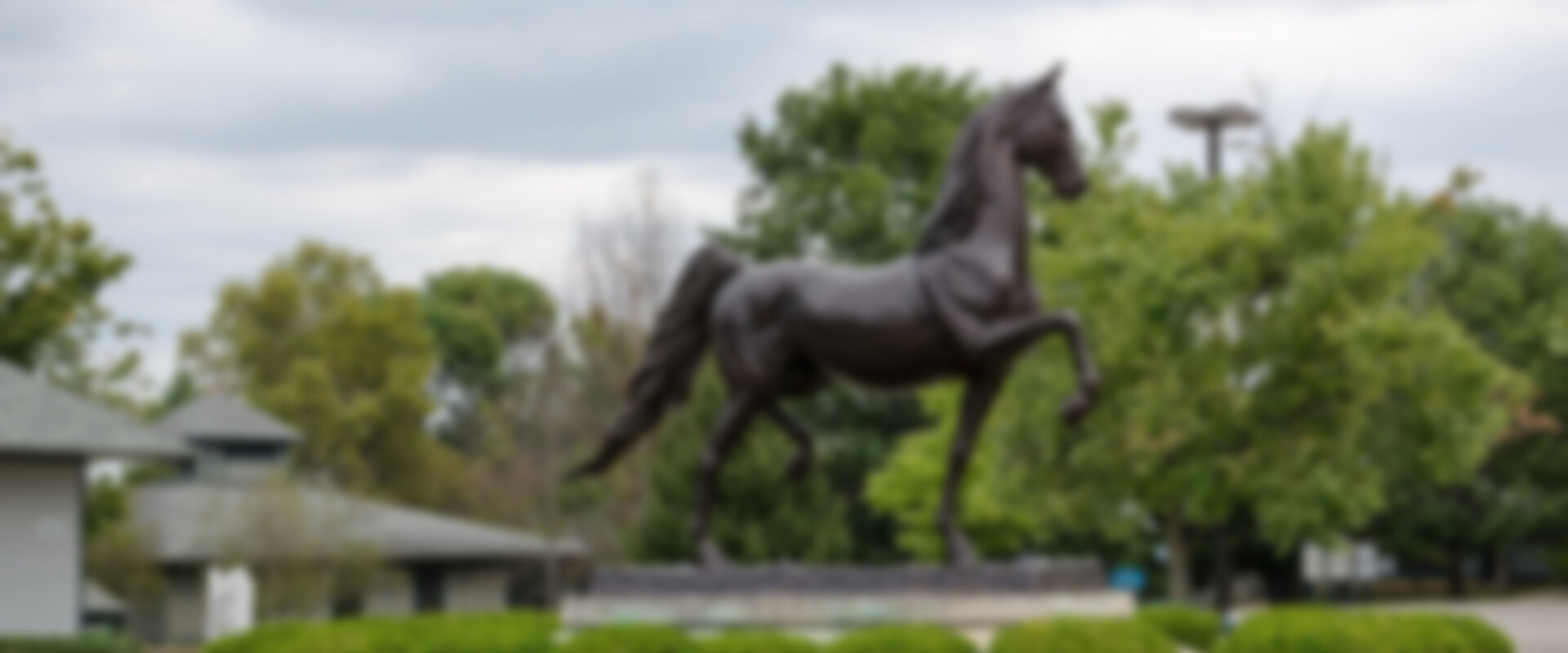 kentucky horse park horse statue