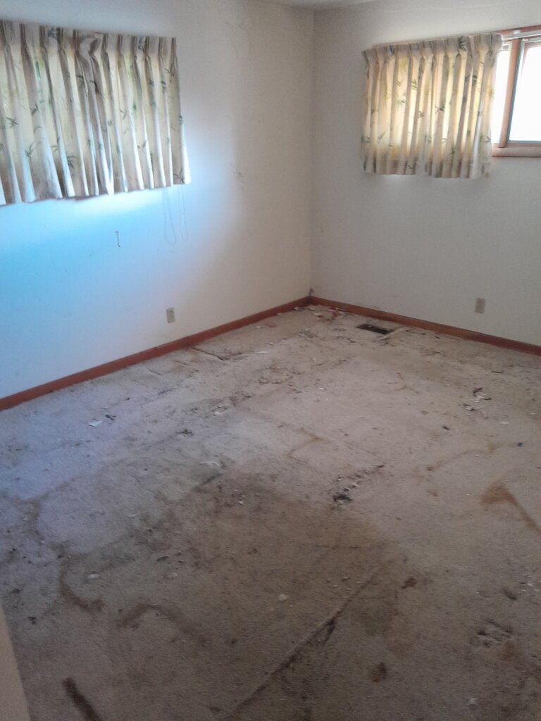 A room in a home that has been cleared of trash but is still very dirty and in need of repair.