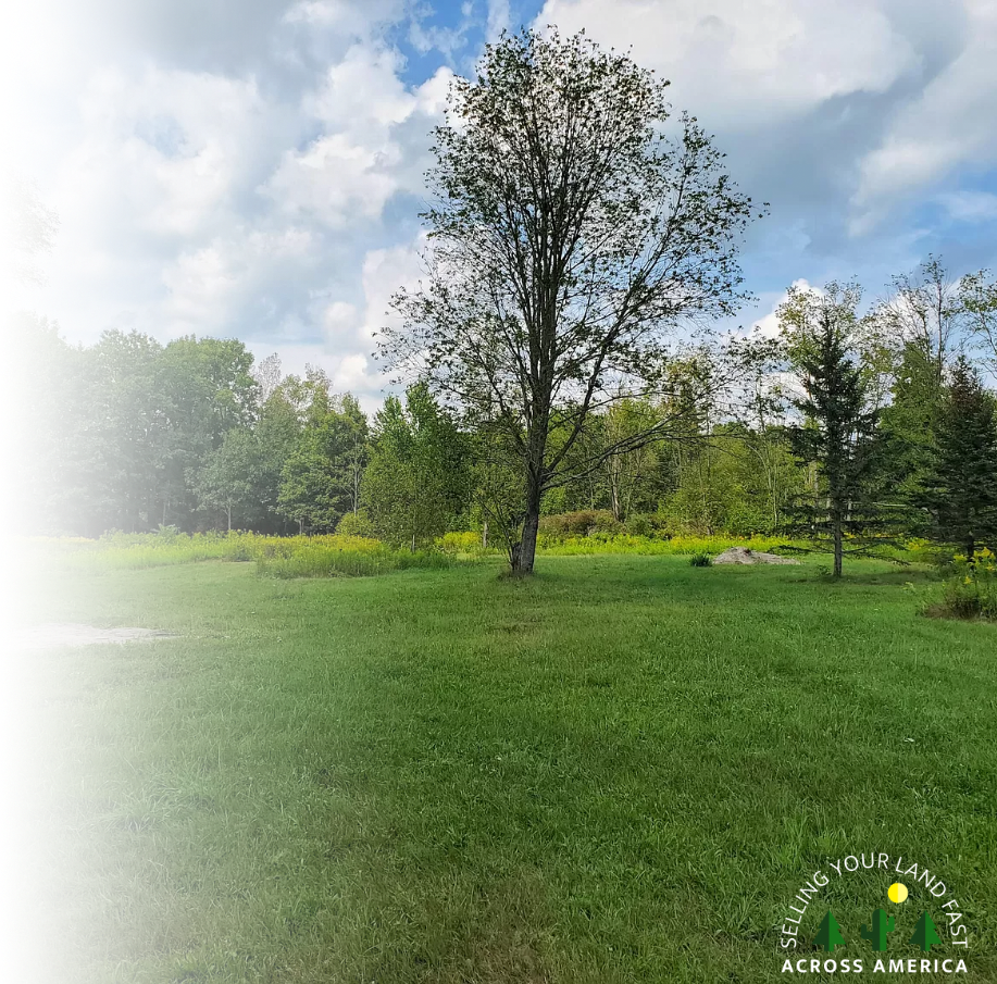 sell land in Michigan