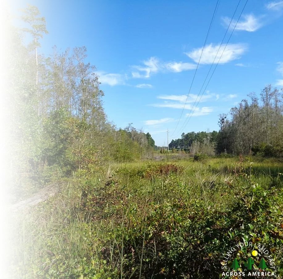 sell land in Alabama