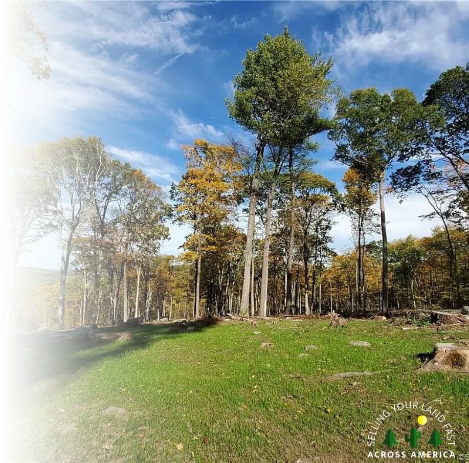 sell land in Connecticut