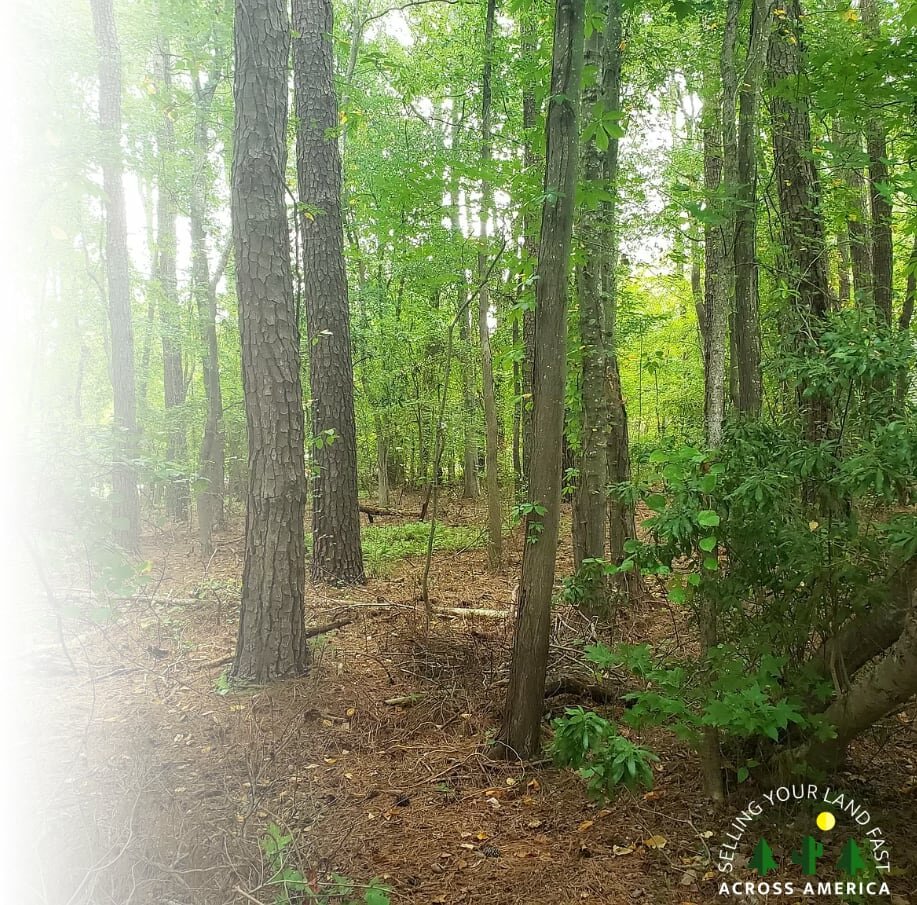 sell land in Delaware