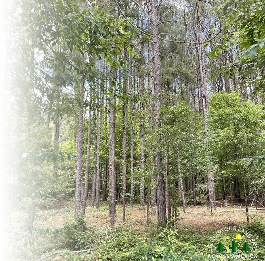 sell land in Louisiana