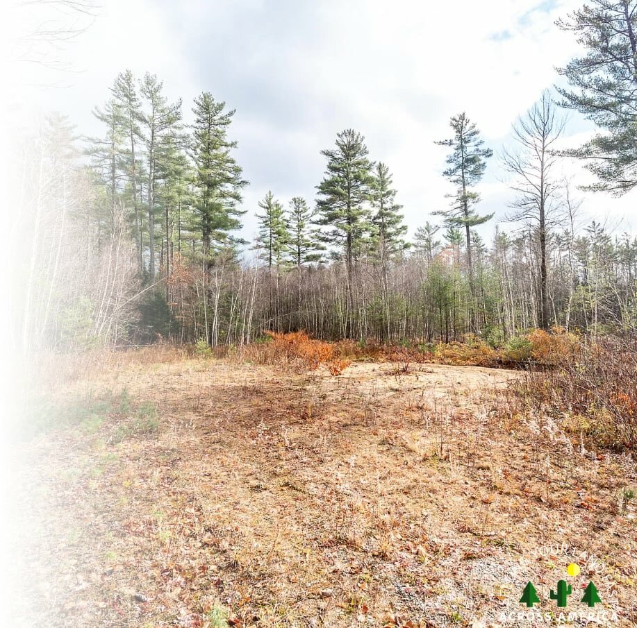 sell land in Maine