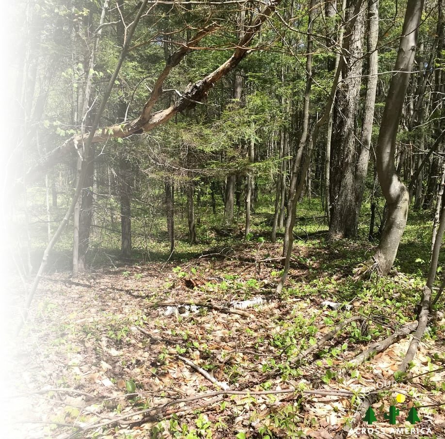 sell land in Massachusetts