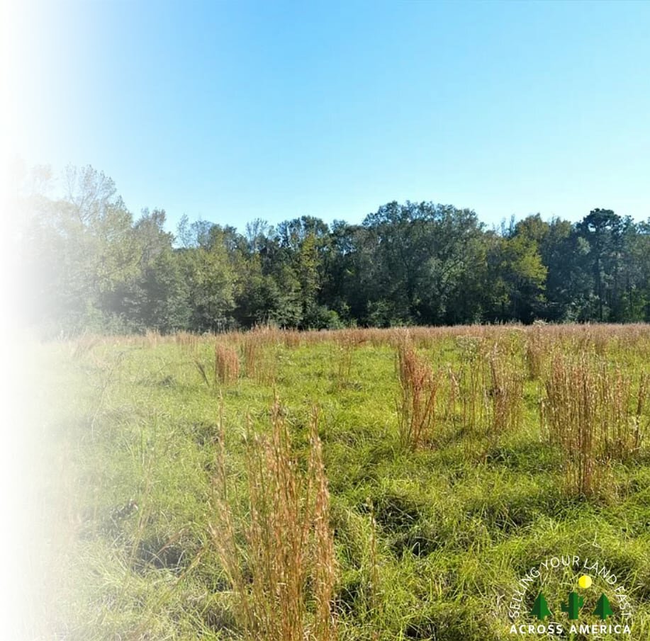 sell land in Mississippi